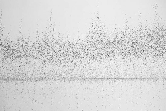 04. Susanna LEHTINEN - QUANTUS FIRMUS 5 ink on paper 80x120 cm (...)